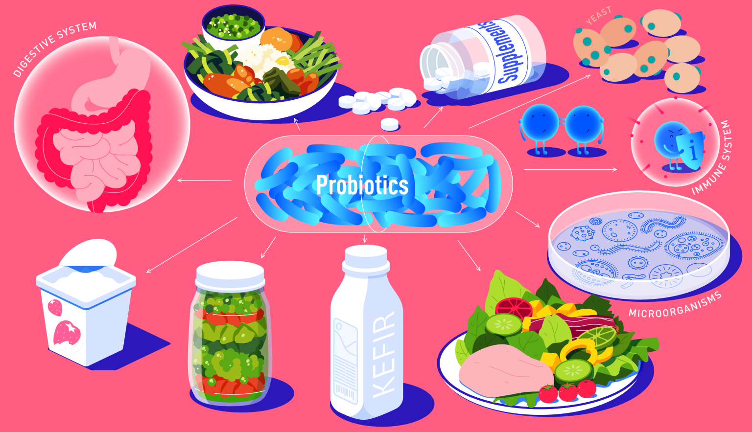 Do Probiotics Make You Poop? Beauty Signal Lab