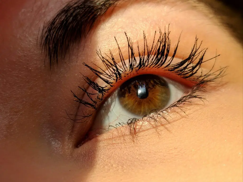 Top 10 Vitamins for Eyelash Growth & Their Supplements