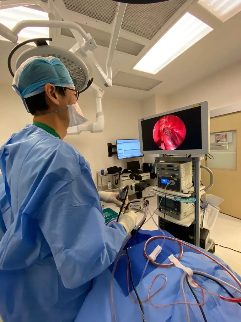 13 Best Ear Cleaning Services in Singapore (2022 Updated)